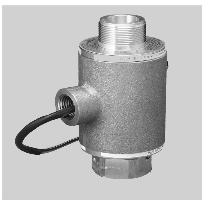 Automatic valve 