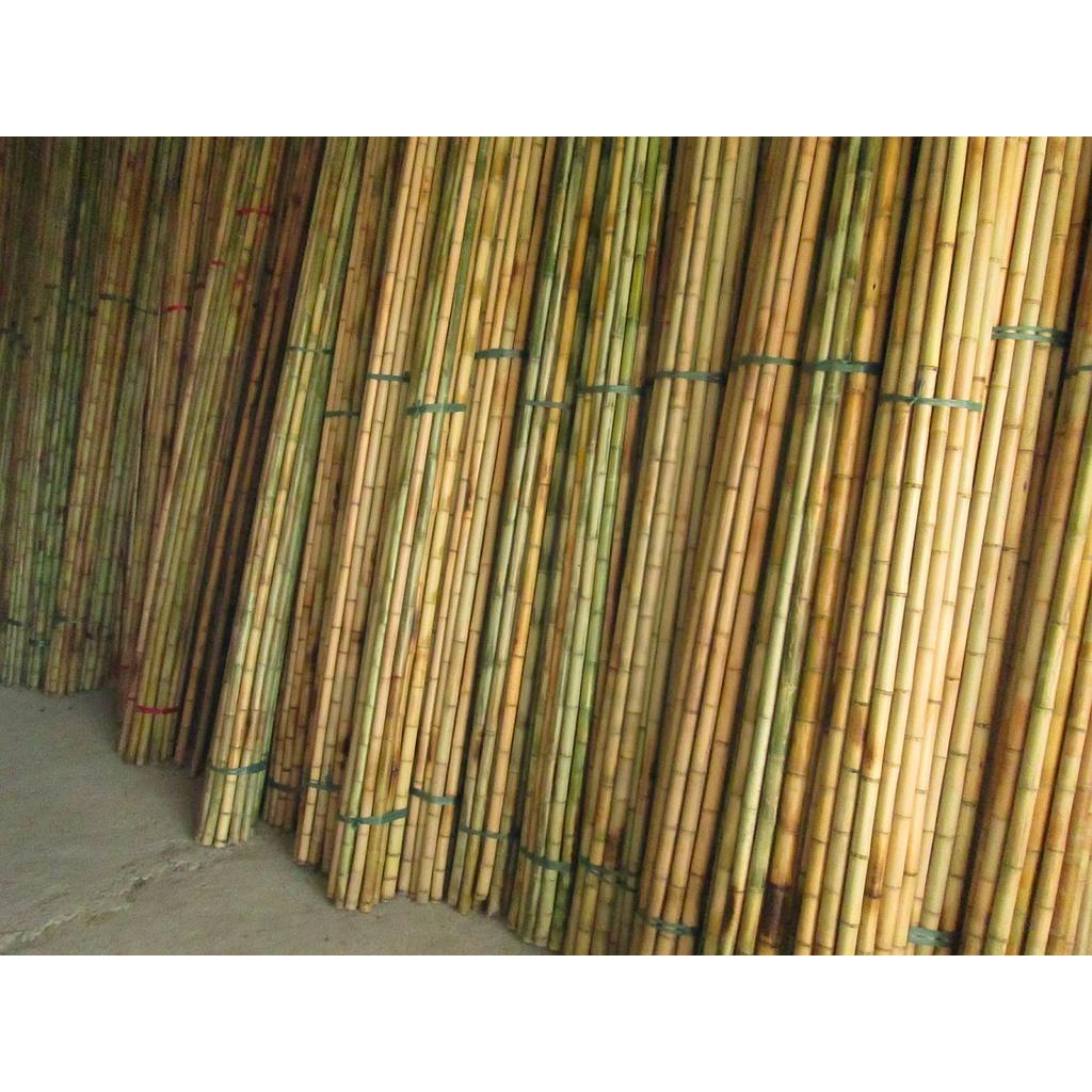 Bamboo pole 2 - 5cm, 5m in length