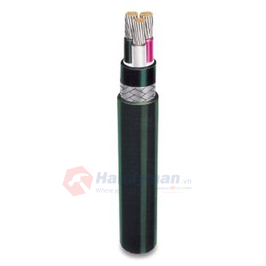 0.6/1KV Power & Lighting Cable FA-DPYC; 2x10mm2 TC/EPR/PVC/Galvanized Steel Wire Braid